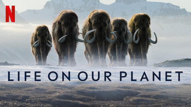 Life on Our Planet